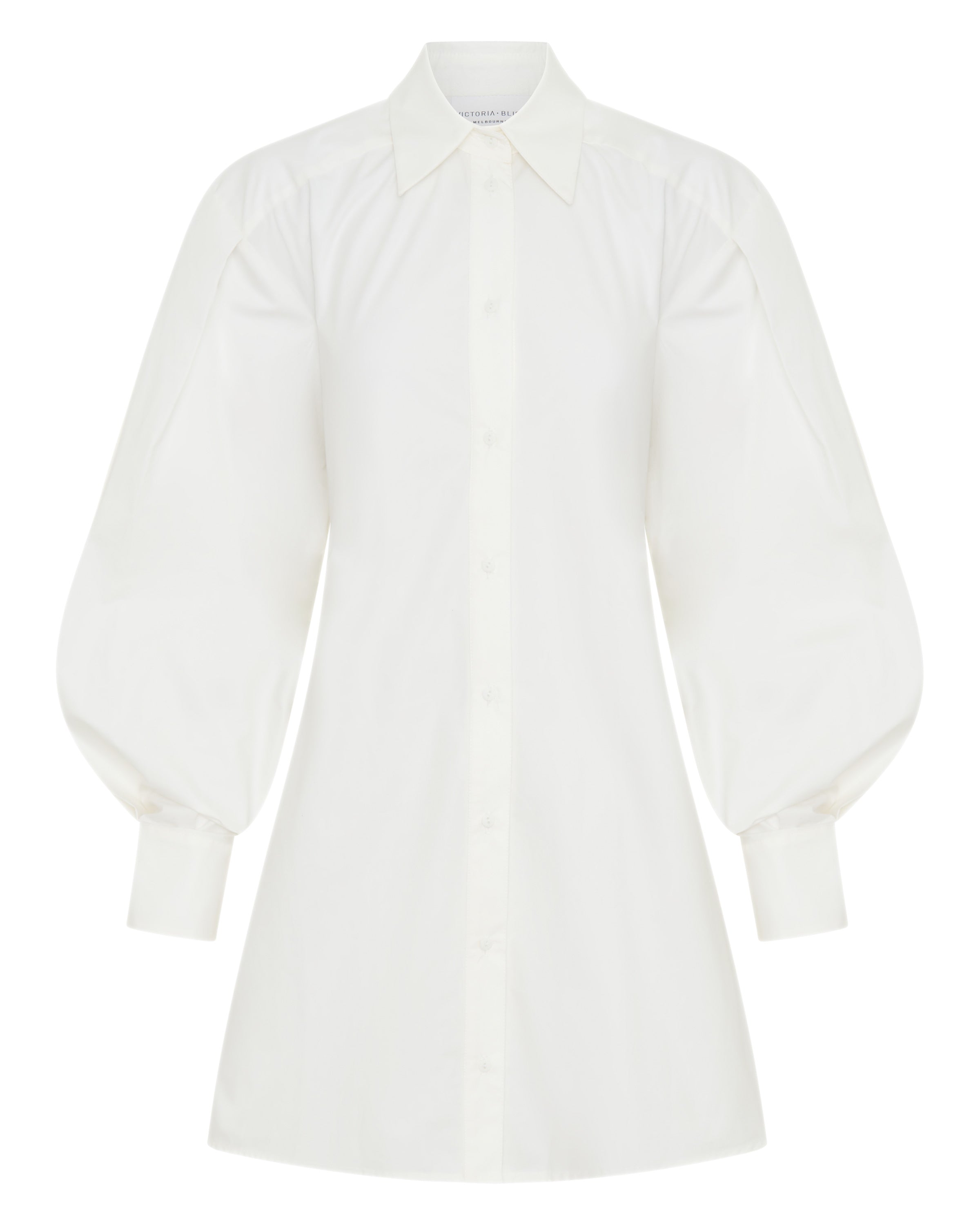 She is Bold Shirt Dress
